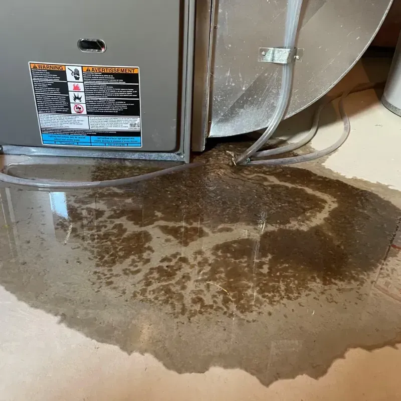 Appliance Leak Cleanup in Kimberly, AL